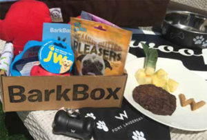 W Fort Lauderdale's in-room Bark Box