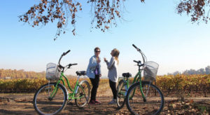 Bike riding and wine tasting in Valle de Maipo © TURISMO CHILE / JUAN JAEGER