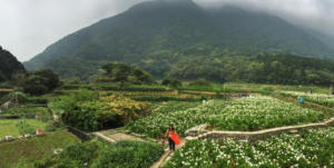 Yang Ming Shan Park, Taiwan