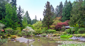 Washington Park Arboretum PHOTO: © ALEXANDRE FAGUNDES DE FAGUNDES | DREAMSTIME.COM