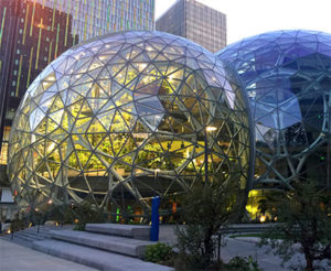 Amazon Spheres