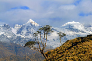 Shakti Views © Shakti Himalayas