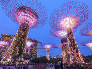 Gardens by the Bay