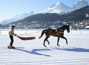 Skijoring