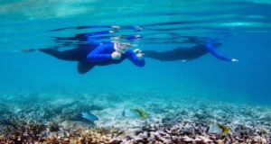 Snorkel Great Barrier Reef