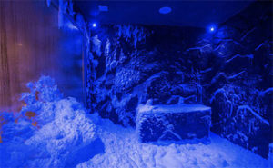 Snow grotto