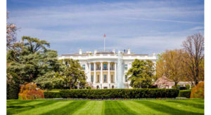 The White House