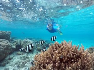 snorkeling