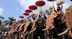 Thrissur Pooram Elephant Festival in Kerala