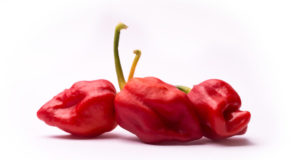 Trinidad Moruga Scorpion Peppers