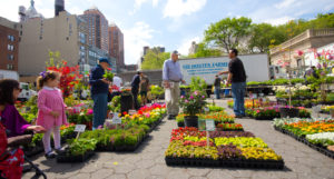 Union Square Greenmarket, New York City