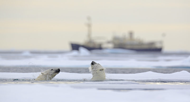 Svalbard