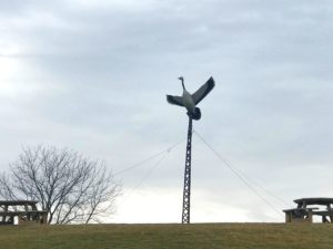 Goosewatch sign