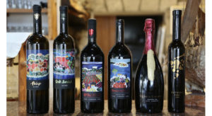 Wines from Zure Winery, Korčula © WIND & WINE CROATIA