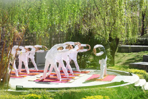 Ananda in the Himalayas