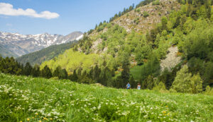 Vall de Sorteny