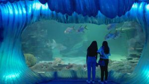 SEA LIFE Sydney Aquarium