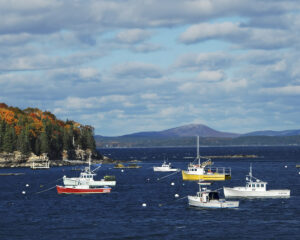 Bar Harbor