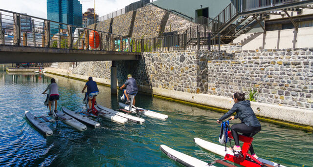 Cape Town’s Victoria & Alfred Waterfront