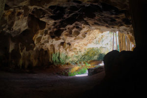 Cayman Crystal Caves