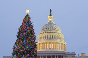 Capitol Hill Christmas tree