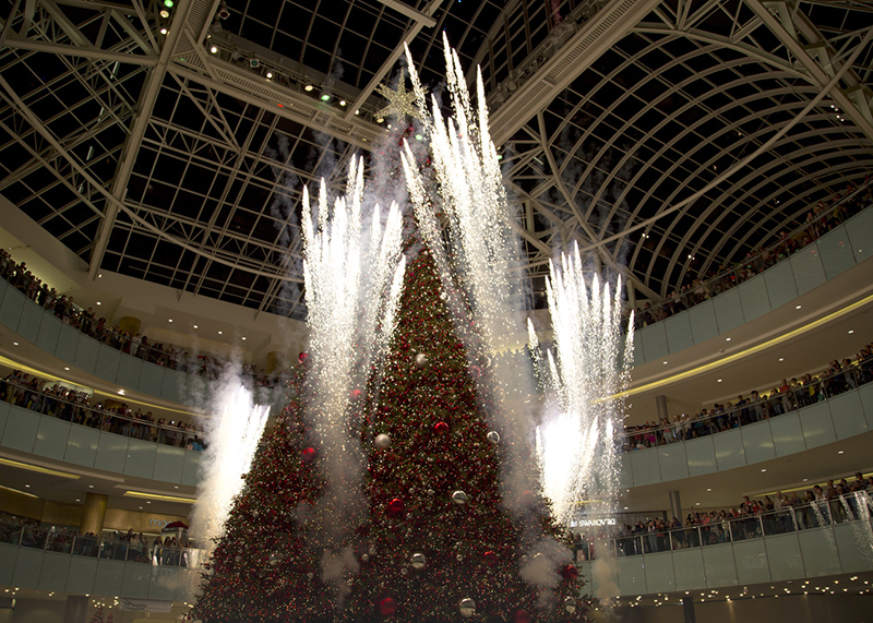 How to See the Country's Tallest Indoor Christmas Tree