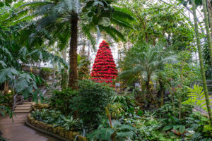 Krohn Conservatory