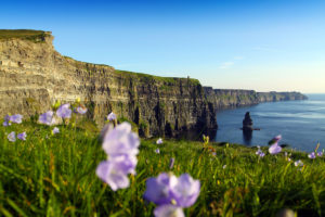 Cliffs of Moher