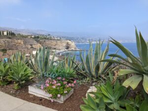 Terranea Resort