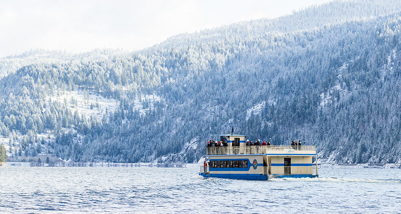 eagle watching on a boat