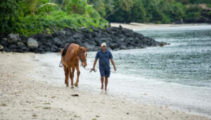 horseback riding