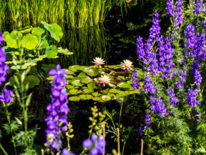 Denver Botanical Gardens