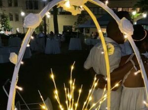 Diner en Blanc