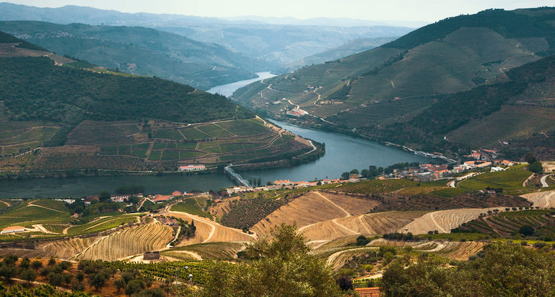 Douro Valley