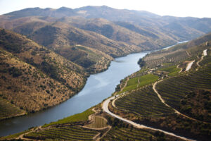 Douro Valley