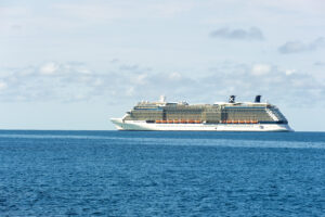 Celebrity Reflection