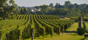 Pomerol, France