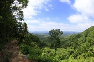 amicalola falls state park