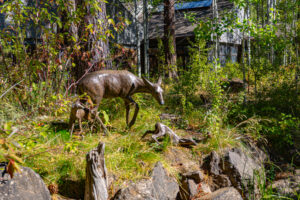 High Desert Museum