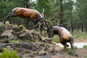 High Desert Museum