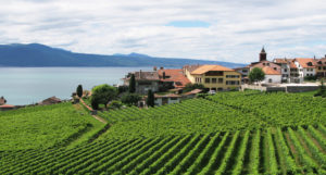 Lavaux Switzerland