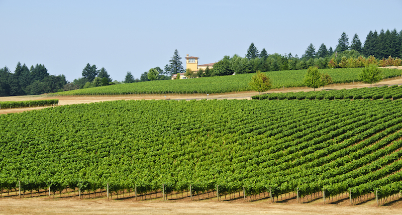 Willamette Valley