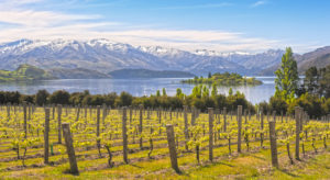 Food and Wine Tour New Zealand