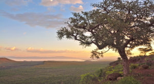 Ethiopia