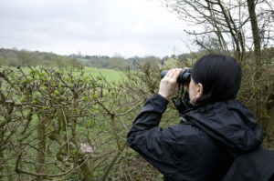 woman birdwatching on tour