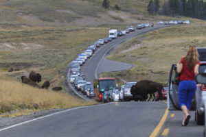 Yellowstone National Park