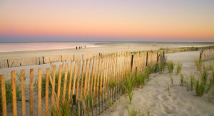 Cape Cod