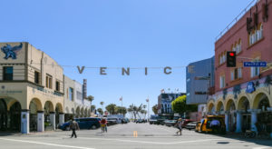 Venice Beach Design Series