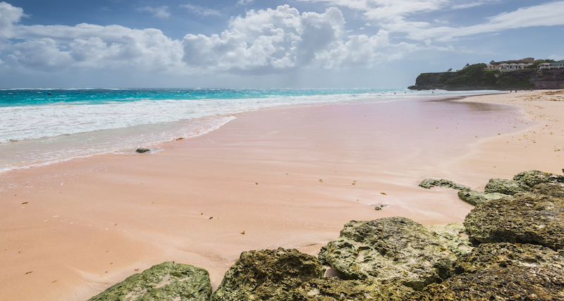 Crane Beach