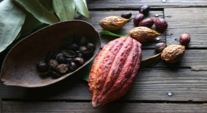 Mayan Cacao Ceremony